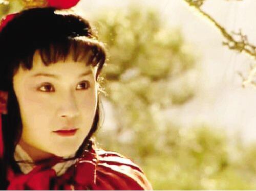 贾珠和秦可卿是什么关系,通灵玉和贾琏什么关系