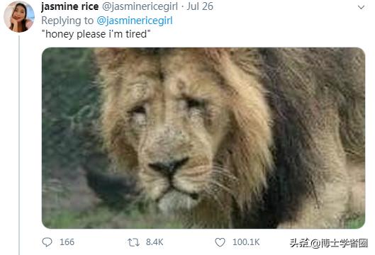 母狮一天发情40次，还追着公狮咬蛋蛋？根本不是这样啊....