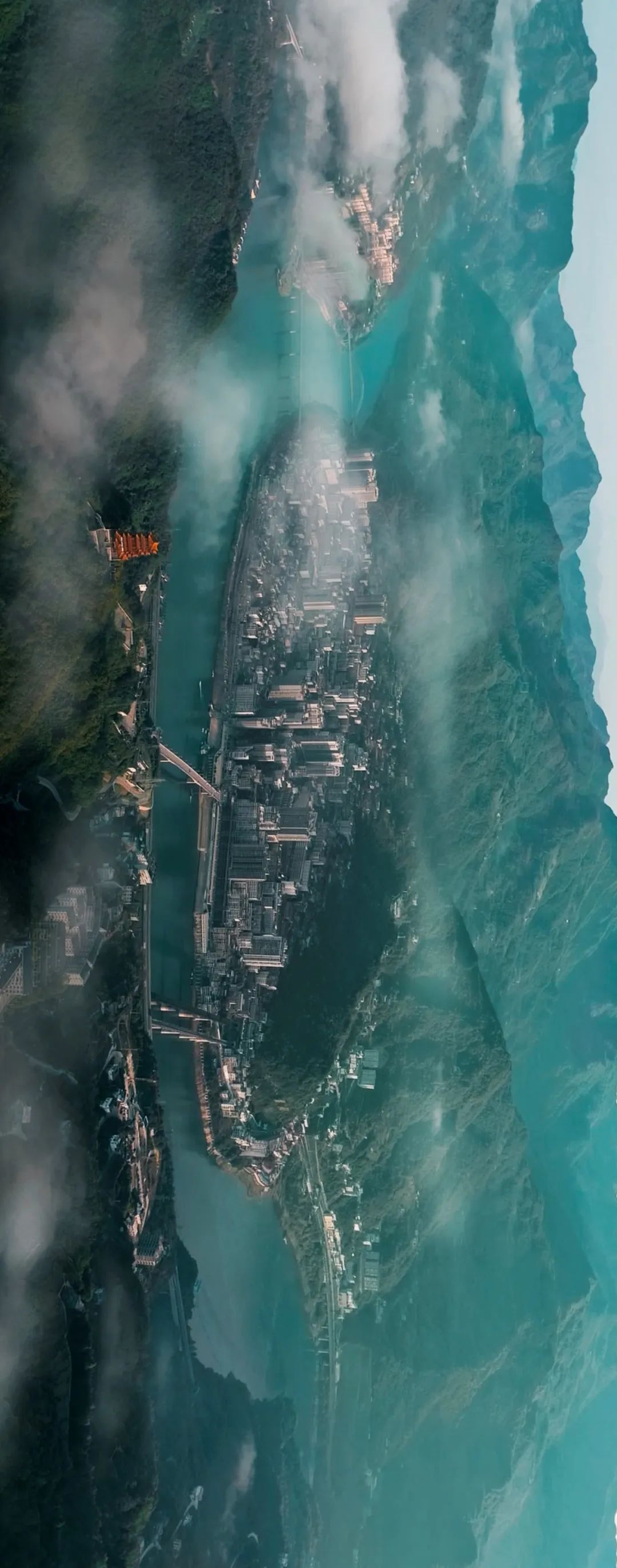 中茶和紫阳茶,紫阳的茶好还是平利的茶好