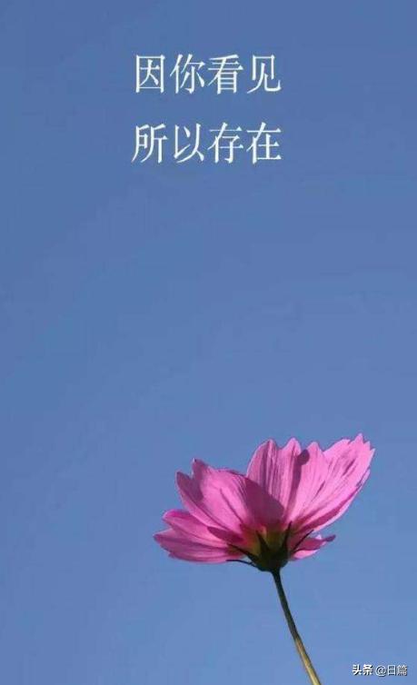 为什么去了日本展会和客户拜访后会治疗好我的腰伤呢