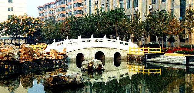 淄博十大名中学,淄博的各大名校