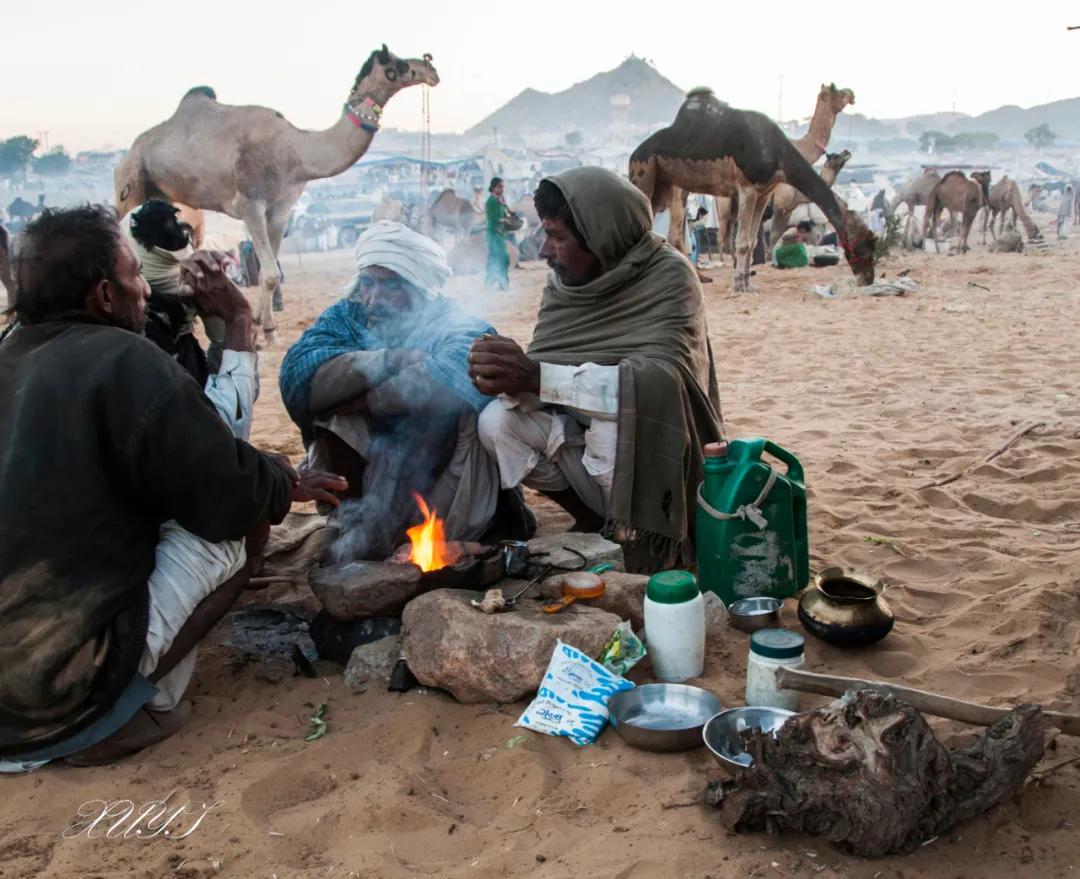 津门网徐屹：印度骆驼节上的人们（上）