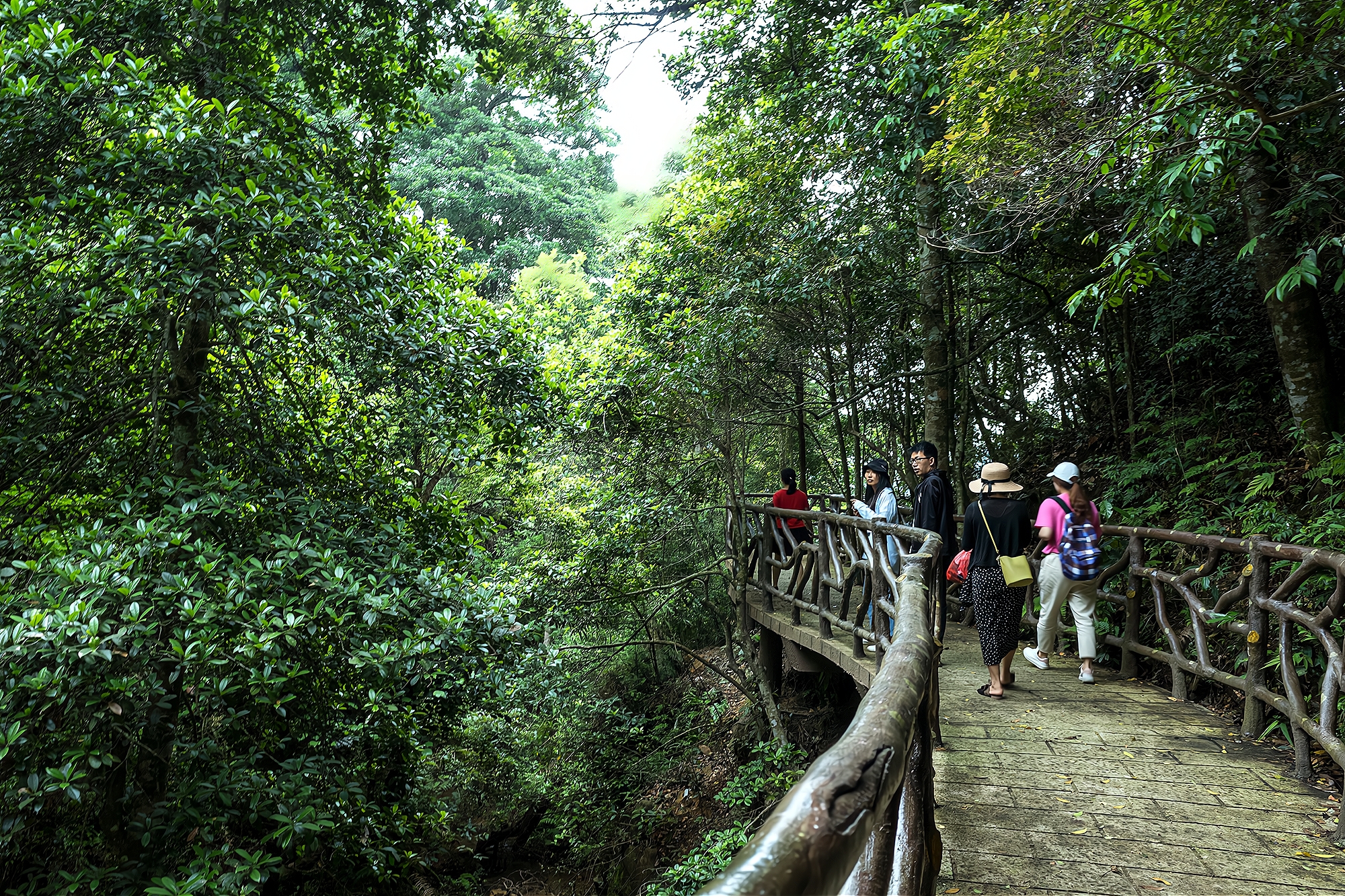 江西安远三百山，香港居民饮用水源头就在这，被誉为“东江之源”