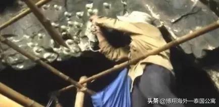 泰国燕窝比马来好些吗,印尼燕窝和马来西亚燕窝区别