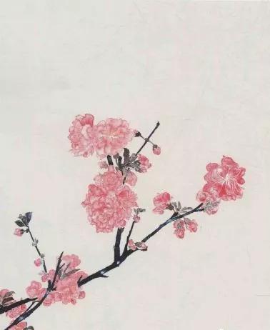 学画春天和桃花,学画简单春天画