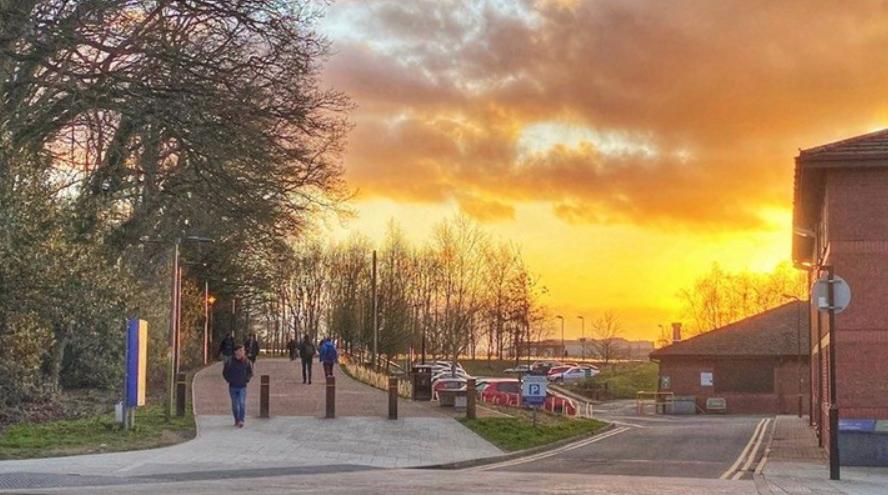 instagram前十名红人,instagramtop10