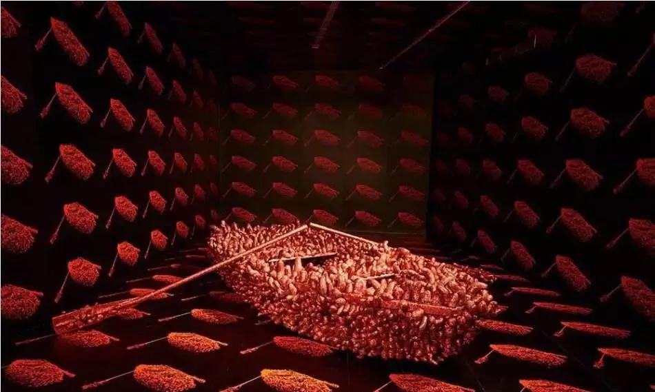 90岁女艺术家，身价几十亿，独居精神病院43年：艺术一半是情色，一半是幻想