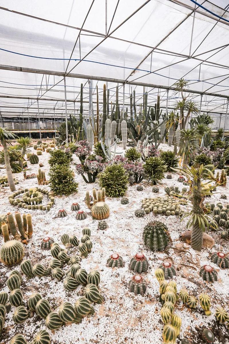 在大山深处幽静绝美的村落,深藏大山中的村落