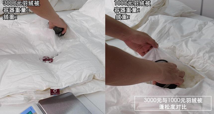 羽绒被以次充好会判刑吗,羽绒被骗局揭秘视频