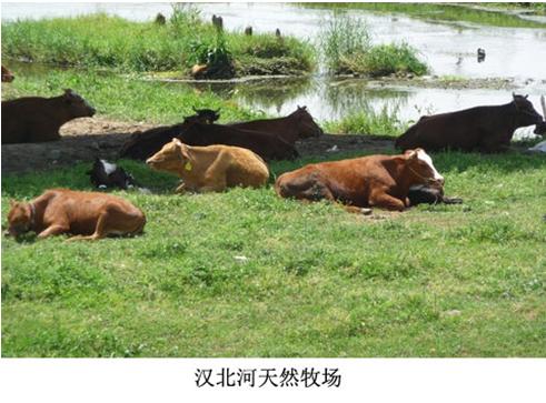 天门荣获了中国蒸菜之乡的称号,蒸菜之乡湖北天门