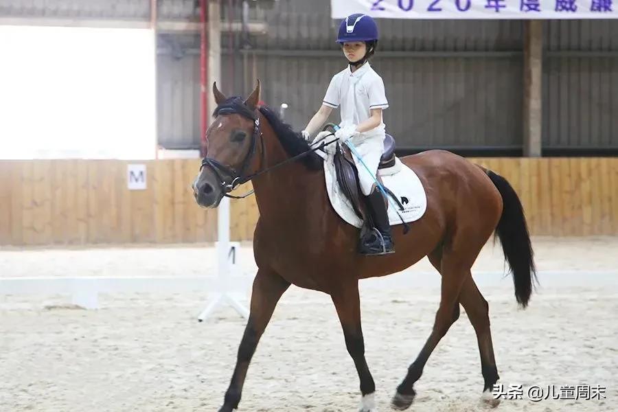 深圳海边骑马地点推荐,深圳骑马最佳地点
