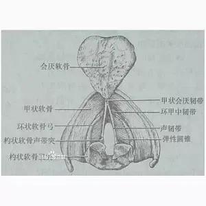 小孩异物卡喉海姆立克急救法,气管异物海姆立克急救法视频下载