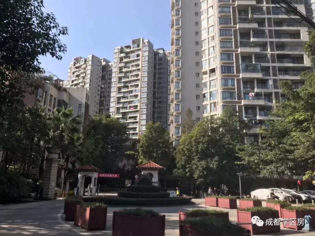 成师附小分校有哪些,成师附小哪个分校最好