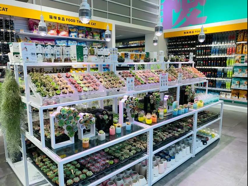 kkv探店打卡,kkv探店拍照