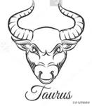 12星座艺术品味,十二星座品味特点