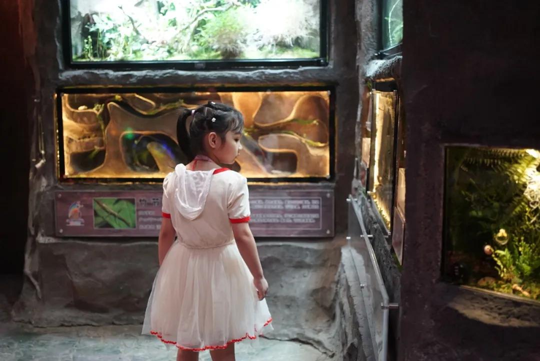 占地30000㎡！这艘建在安华汇天台上的巨船，竟是亲子乐园