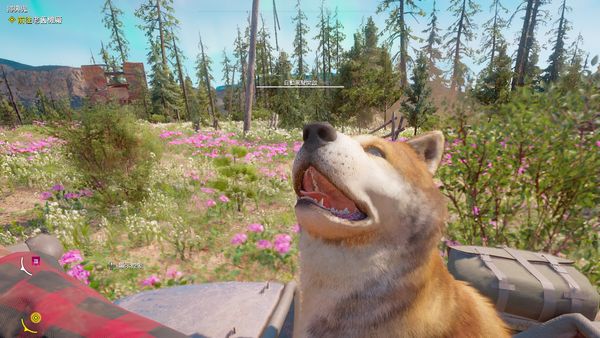 孤岛惊魂新曙光评分,孤岛惊魂新曙光评价如何