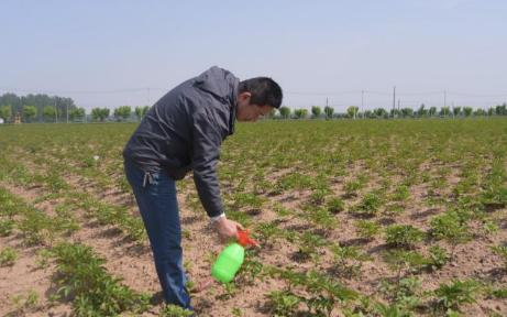农村人开店出售除草剂，似乎非常有利可图，而且风险也很大。
