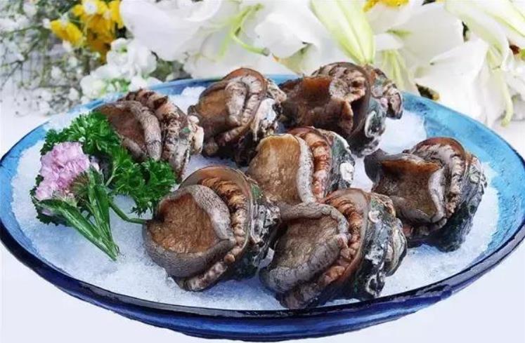 世界鲍鱼品种大全，你若知道其中5种，我叫你三声大哥