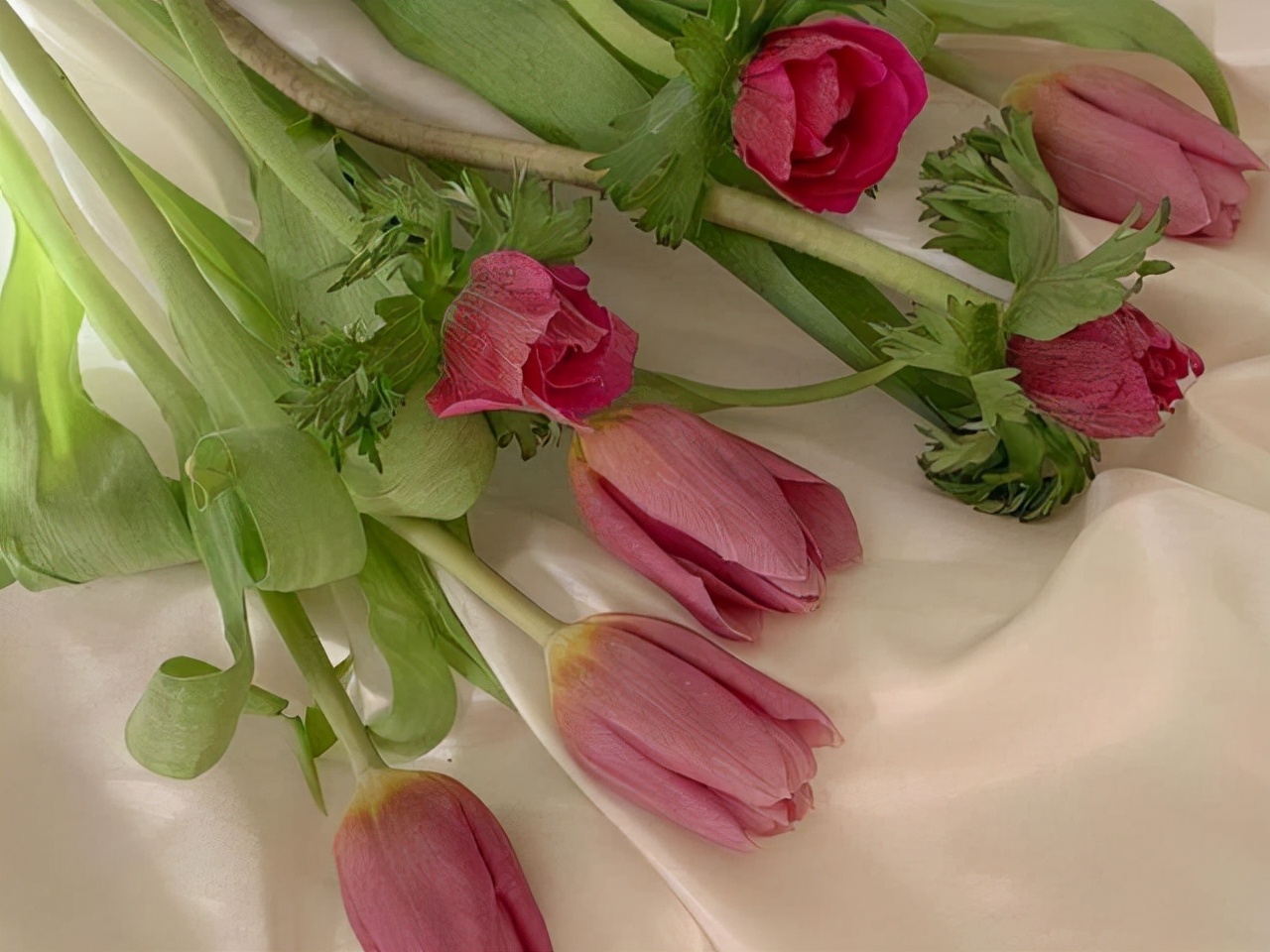 狮子座气质多少分,狮子座是一个特别好的星座