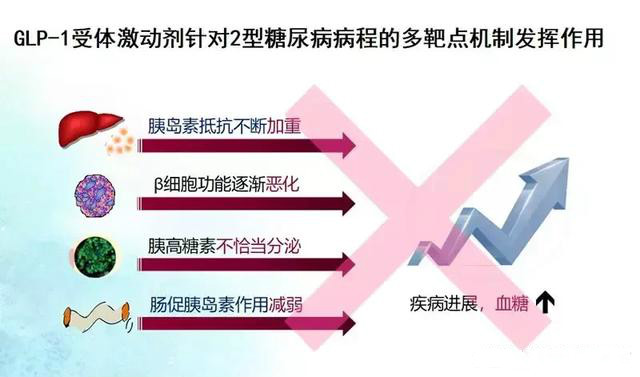 一周一次的降糖药百达扬，售价1985元/盒，如何使用？