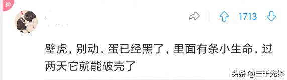 “墙上的是啥蛋蛋，碰掉了会有麻烦吗？”评论区长见识了...
