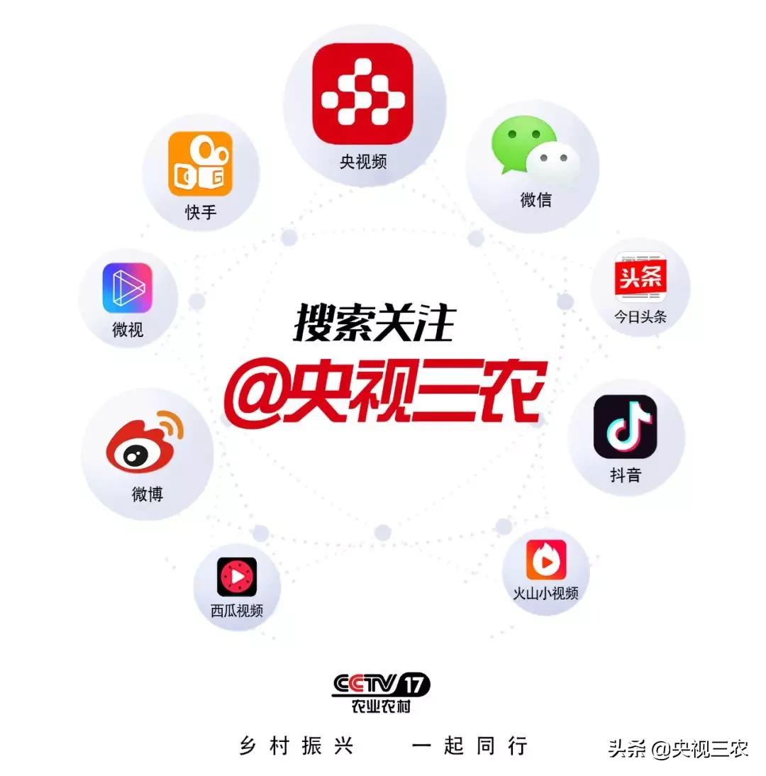 羊肉片一涮就碎了,真假羊肉片煮后效果