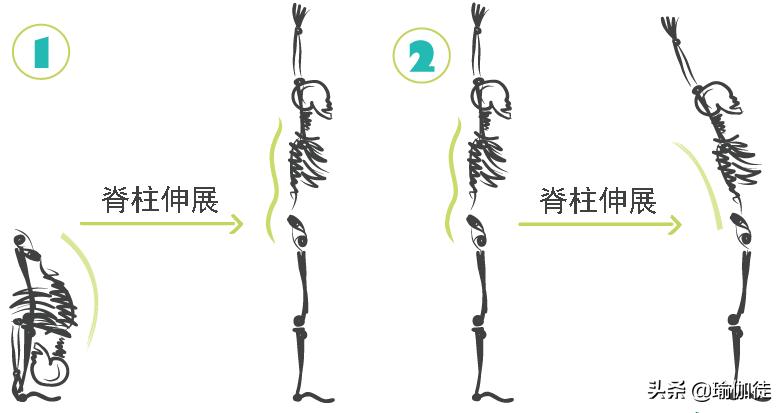 四个步骤，四组不同的轴向伸展序列，以尽量减少对椎间盘的压力