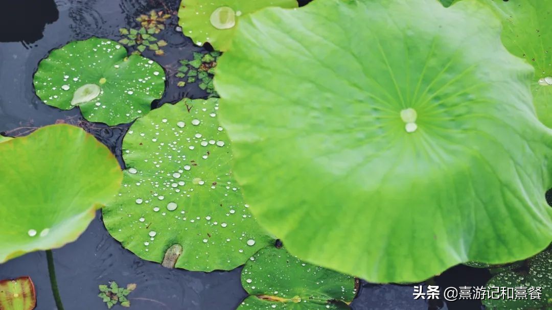 无锡拈花湾投资多少钱,拈花湾投资了多少钱