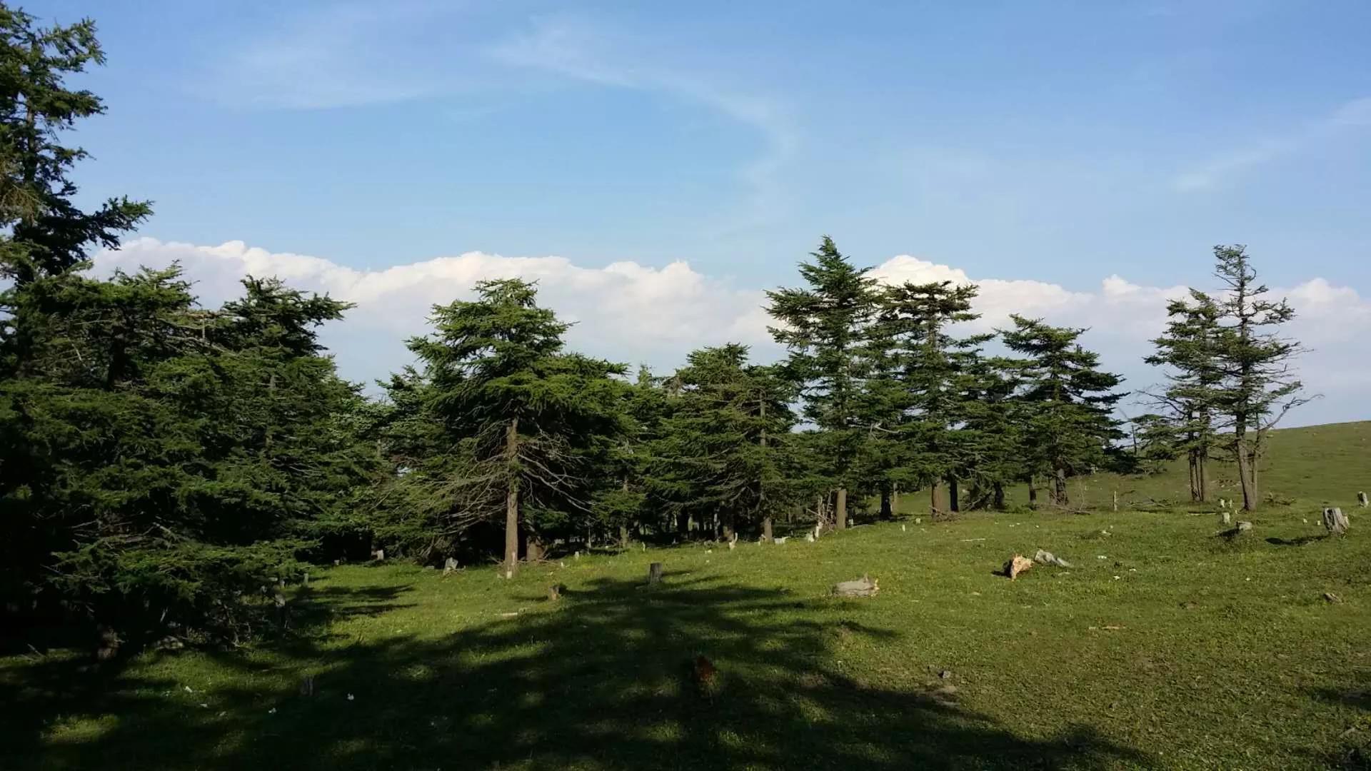 南阳沟景区,南阳沟旅游区