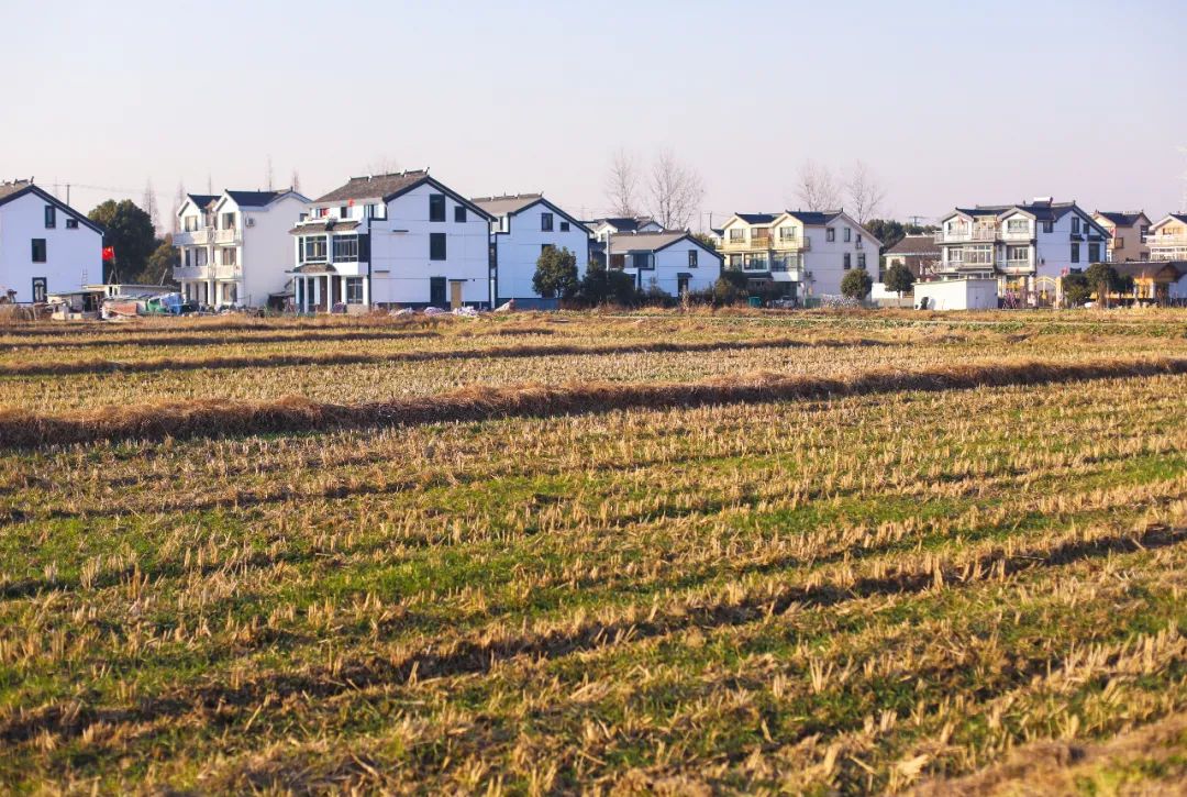 苏州乡村酒席菜品,苏州江南水乡美食价格