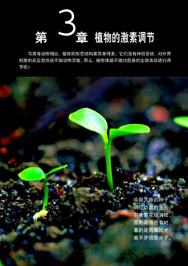 高中生物选择性必修3知识点,高中生物必修三课本电子版