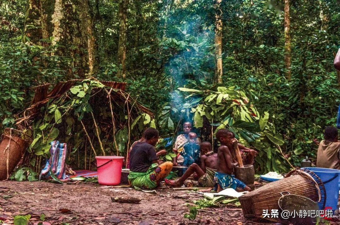 你不知道的国家冷知识（非洲、喀麦隆）