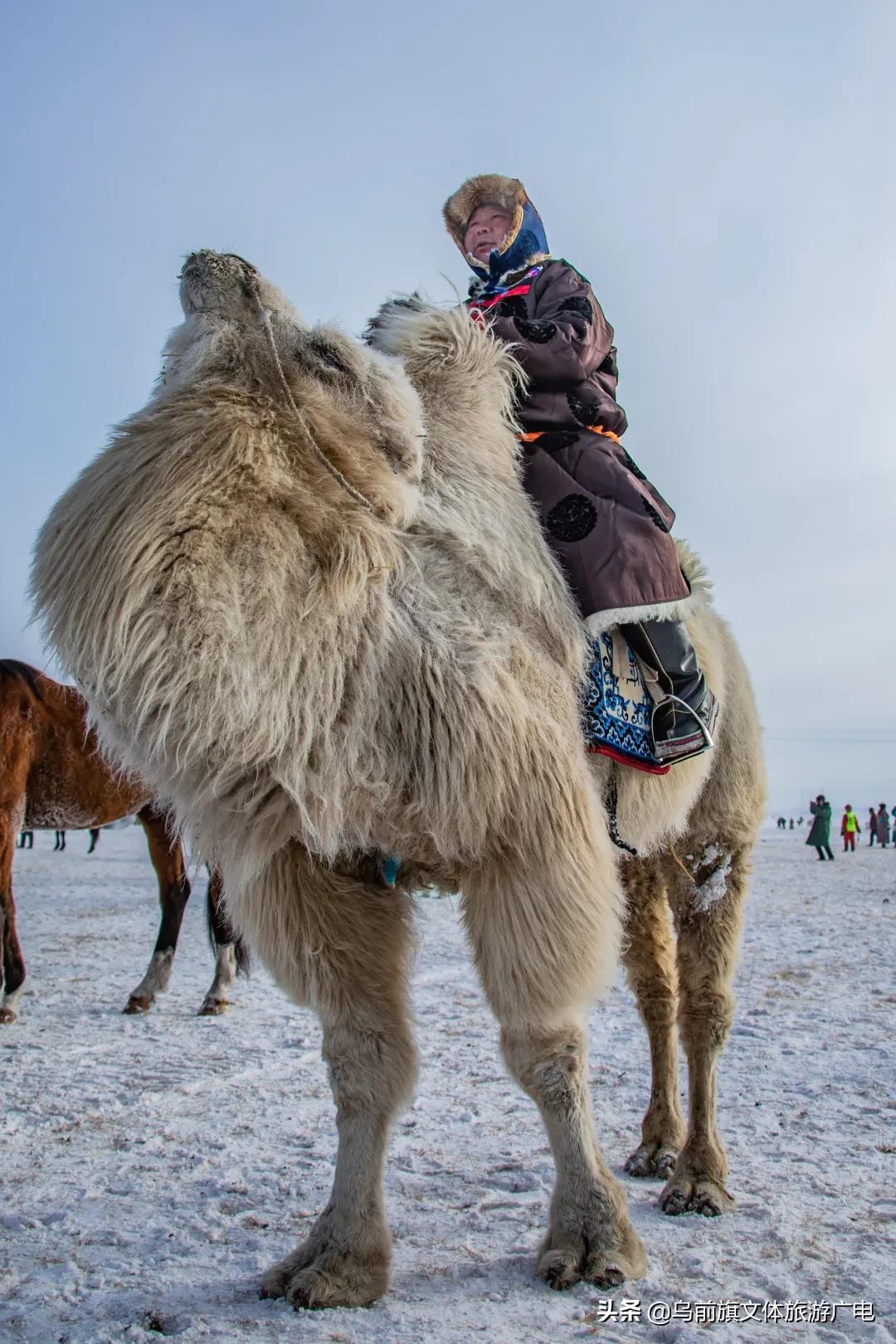 蒙古族传统服饰展示,传统蒙古族服饰