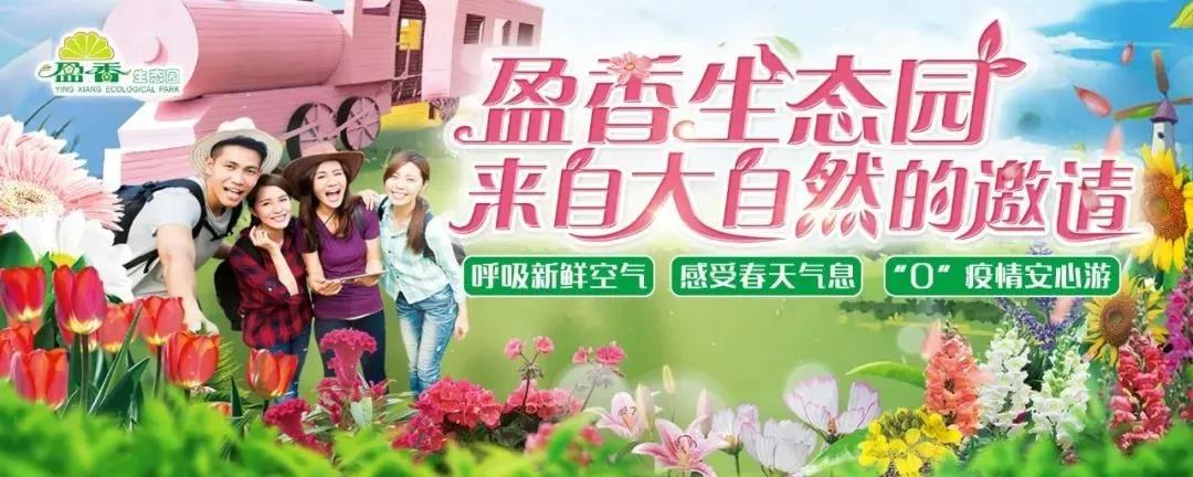 佛山市景区全免费开放,佛山南海多个场馆恢复开放