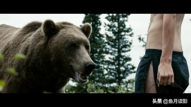 20部必看荒野生存的电影,推荐几部好看的电影荒野生存