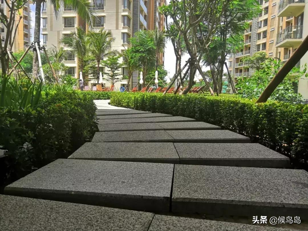 金边一号精装房,金边壹号房子值得买吗