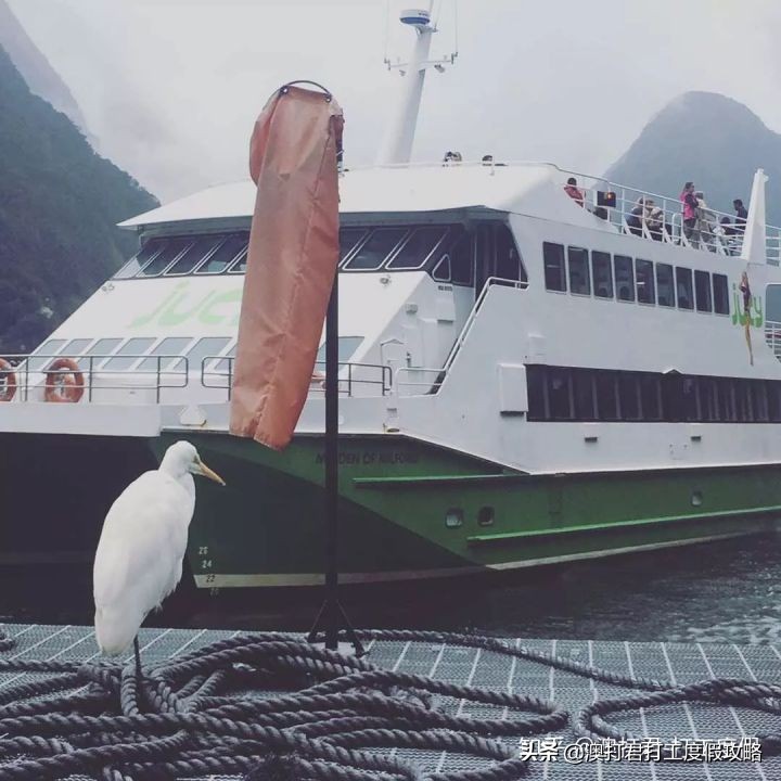 十大在家最挣钱的工作,去做什么工作才是最赚钱的