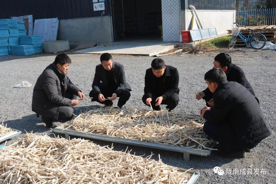 乡镇推动传统产业提档升级,乡镇多举措促进产业转型