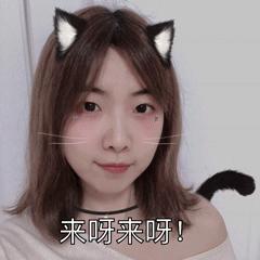 秋冬好用小家电,秋冬必备小家电