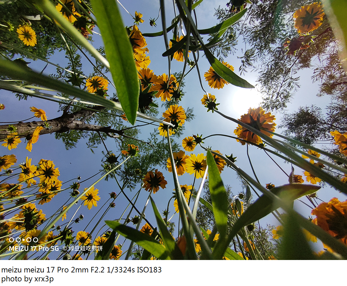 魅族17pro拍照怎么用,魅族17pro拍照体验