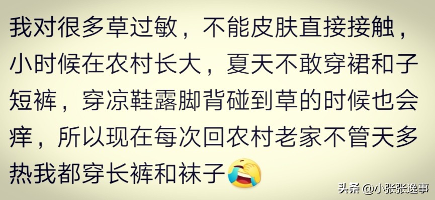 吃丝瓜过敏红疙瘩发痒,皮肤过敏可以吃丝瓜吗
