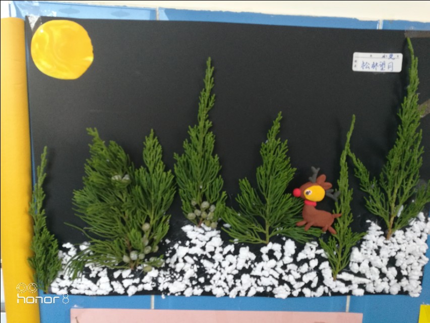 [秋叶之赋]秋日落叶漫漫，落叶归根，然而落叶有顽强的生命力