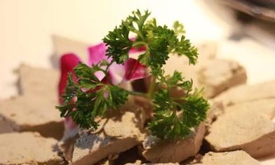 一家特色鱼店,一家很有特色的鱼馆