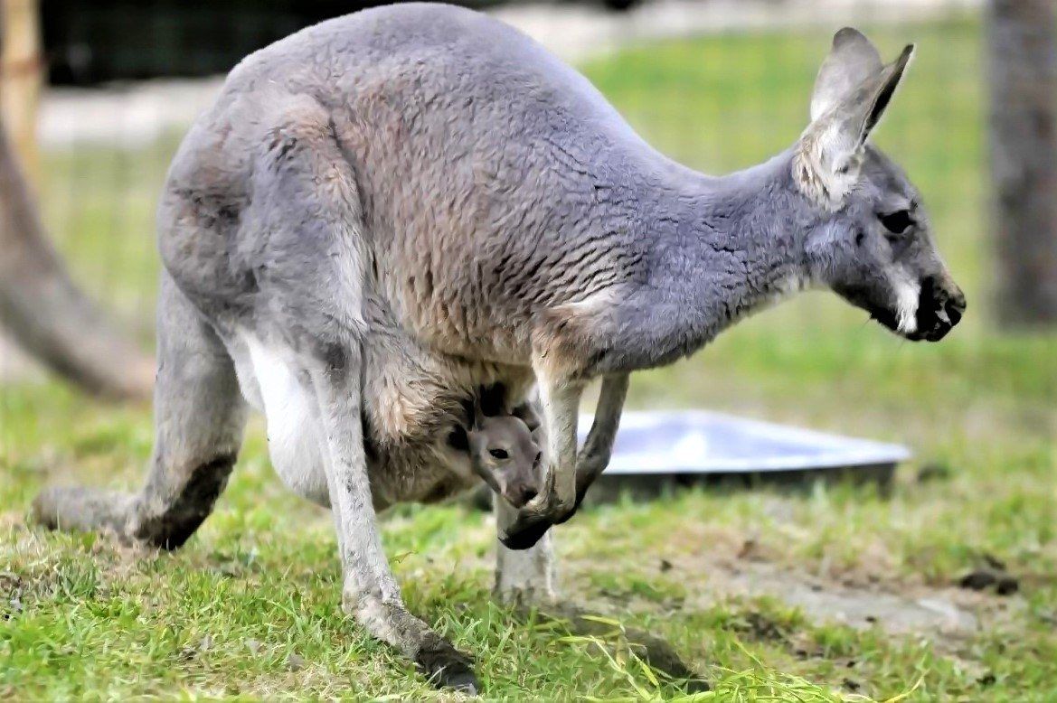 新发现：卵子会对某些人的精细胞更加偏爱，甚至可为其“开后门”