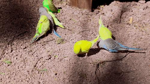 昆明亲子游户外旅行地,昆明周边户外游玩景点推荐带孩子