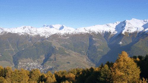 《人间尽兴清单》华姐的打开方式,你根本想不到