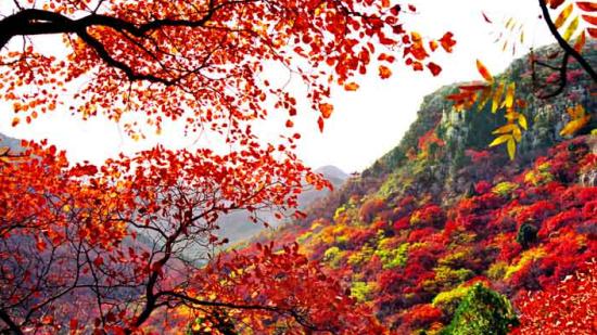 潍坊的美景与文化,潍坊美丽的视频