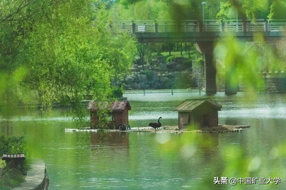 听好了!今天我们要夸矿大!