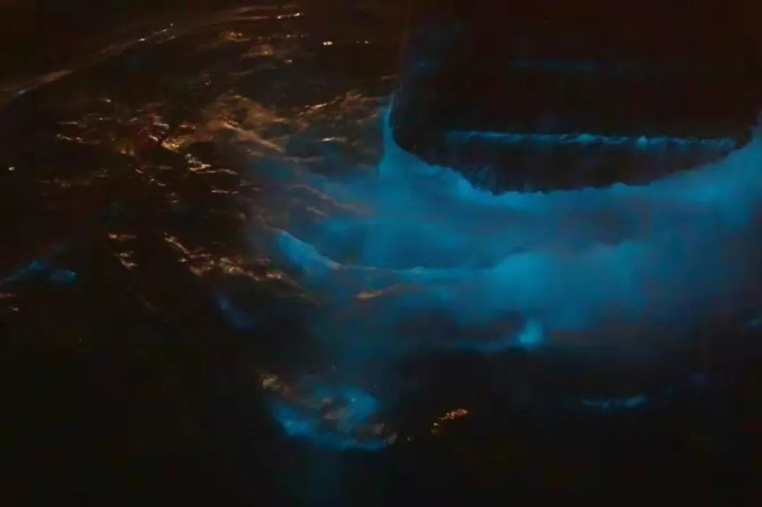 浙江最值得去的海岛 (浙江一定要去的5个海岛)